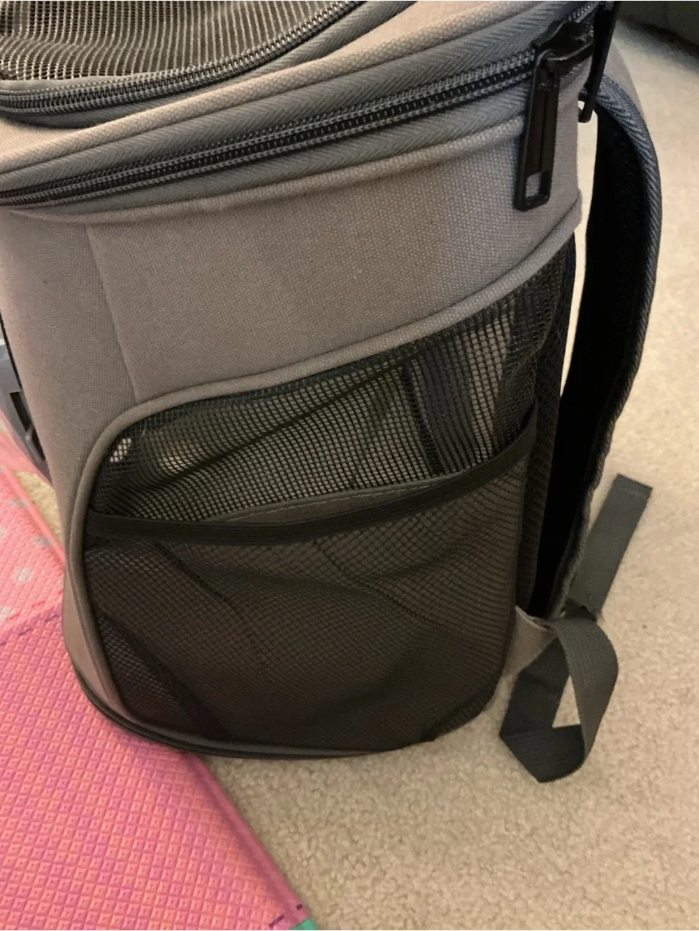 Space Bubble Cat/Small Dog Backpack Carrier
